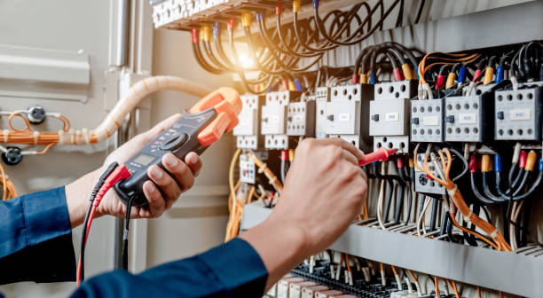 Best Electric Panel Repair  in Corrigan, TX
